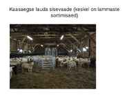 Lammaste pidamistehnoloogia #48
