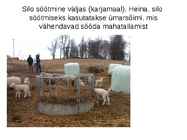 Lammaste pidamistehnoloogia #9