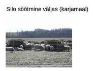 Lammaste pidamistehnoloogia #10