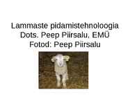 Lammaste pidamistehnoloogia