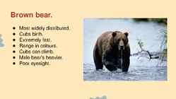 Wildlife of Alaska #2