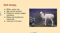Wildlife of Alaska #9