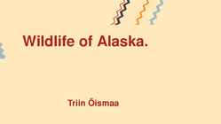 Wildlife of Alaska