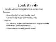 Looduslik valik #2