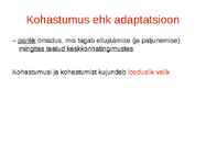 Looduslik valik #3