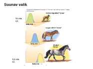 Looduslik valik #31