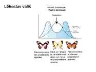 Looduslik valik #32