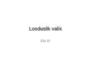 Looduslik valik