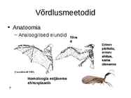 Evolutsiooni tõendid #12