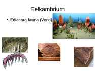 Elu areng Maal #15