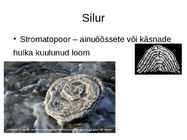Elu areng Maal #25