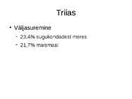Elu areng Maal #46