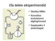 Elu areng Maal #6