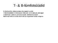 Lümfi ülesanded ja lümfiringe organismis #16