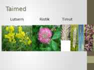 Kultuurrohumaa-pikaajaline #10