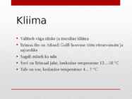 Iirimaa esitlus #4