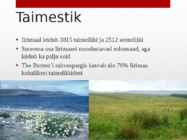 Iirimaa esitlus #5