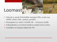 Iirimaa esitlus #6