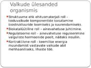 Valkude tähtsus inimorganismile - esitlus #3