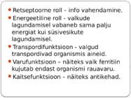 Valkude tähtsus inimorganismile - esitlus #4