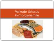 Valkude tähtsus inimorganismile - esitlus