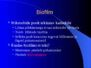 Koristamine #7