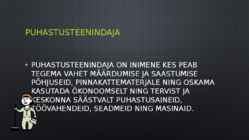 Puhastusteenindaja #2