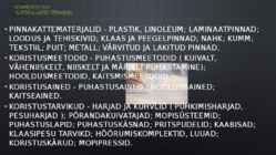 Puhastusteenindaja #13