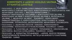 Puhastusteenindaja #17