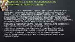 Puhastusteenindaja #18