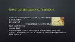 Puhastusteenindaja #3
