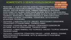 Puhastusteenindaja #22