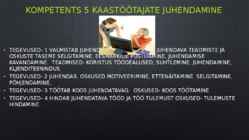 Puhastusteenindaja #24