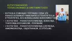 Puhastusteenindaja #6