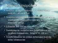 Vesipüks #2
