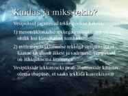 Vesipüks #3