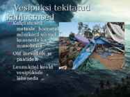 Vesipüks #8