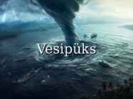 Vesipüks