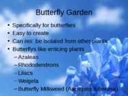 Flowers-flower trees and flower shrubs #11