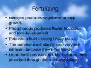 Flowers-flower trees and flower shrubs #14
