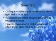 Flowers-flower trees and flower shrubs #15