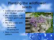 Flowers-flower trees and flower shrubs #5