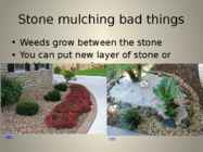 The organic way to mulching #11