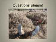 The organic way to mulching #17