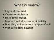 The organic way to mulching #3