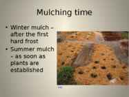 The organic way to mulching #8