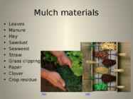 The organic way to mulching #9