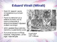 Eesti kunst 1918-1940 #8