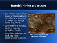 Arhitektuur Itaalias ja Saksamaal 17 -18-sajandil #5