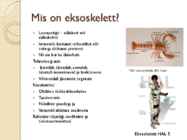 Eksoskelett ettekanne #3